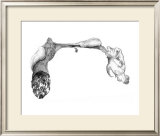 Hanging on to an Organic Bridge Prints by Ryuichirou Motomura