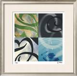 An Elegant Finish Limited Edition Framed Print by Scott Sandell