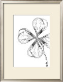 Water Clover Prints by Cédric Porchez