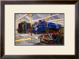 Giants Refreshed Framed Giclee Print by Terence Tenison Cuneo