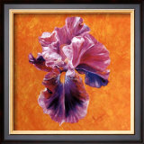 Un Amour d'Iris Prints by Anne Frémin Besombes