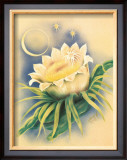 Night Blooming Cereus Framed Giclee Print by Ted Mundorff