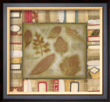 Special Delivery II Prints by Maria Eva