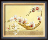 Bol d'Orchidees Prints by Gérard Beauvoir