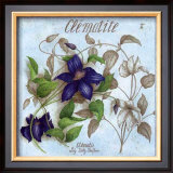 Clematite Art by Vincent Jeannerot