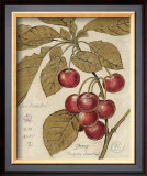 Cherry Etching Prints by Chad Barrett