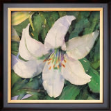 White Lily Prints by Shirley Felts