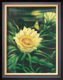 Blooming Cereus with Full Moon Framed Giclee Print by Ted Mundorff