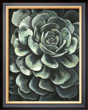 Lunar Succulent II Art by Megan Meagher