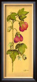 Flores Colgantes I Prints by L. Romero