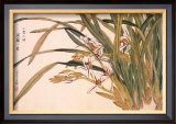White Orchids Posters by Kosikose 