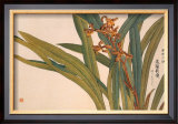 Brown Orchids Posters by Kosikose 