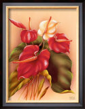 Red and White Anthuriums Poster by Frank Oda