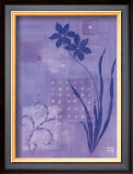 Iris Series III, Lobelia Poster by Lynn Fotheringham