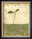 Grow and Bloom I Posters by Veronique 
