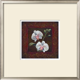 Orchid Study II Posters by Thomas Wood