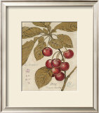 Cherry Etching Art by Chad Barrett