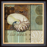 Contemporary Shell II Prints by Paul Brent
