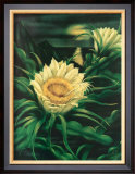 Blooming Cereus with Full Moon Posters by Ted Mundorff