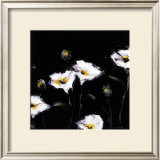 Preening Poppies Posters by Cheryl Roberts