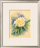 Night Blooming Cereus Framed Giclee Print by Ted Mundorff