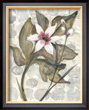 Amazonia IV Prints by Amore 