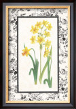 Jonquil and Narcissus II Poster by Sarah Elizabeth Chilton