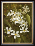 Clematis Prints by Fasani 