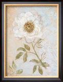 Wedding Rose I Poster por Lisa Ven Vertloh Wedding Rose I Poster por Lisa Ven Vertloh