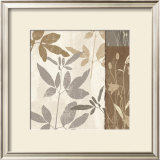Flowers and Ferns II Prints by Klein Design