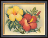 Hawaiian Hibiscus Art by Eve Hawaii