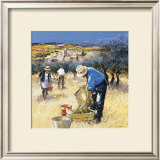 La Cueillette des Olives Art by Andre Deymonaz