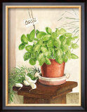 Basil in a Clay Pot Prints by Ina van Toor