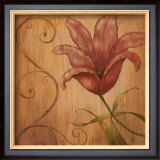 Tiger Lily I Prints by Nan 
