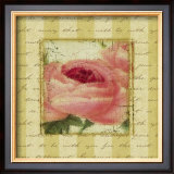 Rose and Romance I Posters by Pela Design