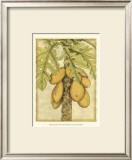 Graphic Palms I Posters by Jennifer Goldberger