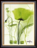 Coquelicot Vert II Prints by Marthe 