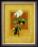 Long Stem Double Poster by Nancy Azneer