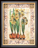 Provincial Narcissus Prints by Walter Robertson