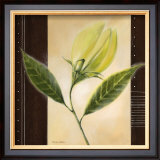 Dancing Leafs Print by Vivien White