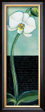 White Orchid Print by Chantal Godbout