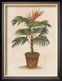 St. Lucia Poster by Peggy Abrams