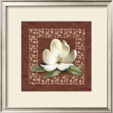 Magnolia Detail I Prints by Brian Lane