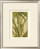 Graphic Palms IV Prints by Jennifer Goldberger