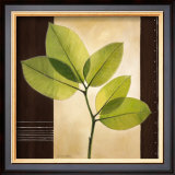 Lucent Leafs Posters by Vivien White
