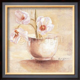 Cup of White Tulips Prints by Anna Gardner