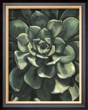 Lunar Succulent I Posters by Megan Meagher