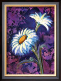 Daisy Framed Giclee Print by Marcella Rose