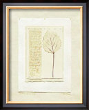 Leaves Posters by Nan Goss