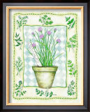 Chives Prints by Robin Betterley